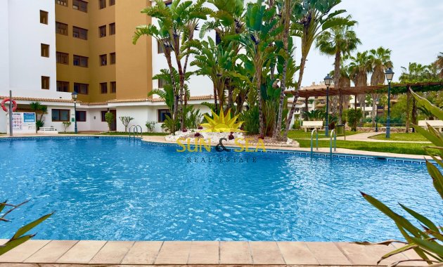 Reventa - Apartamento - Torrevieja - Punta prima