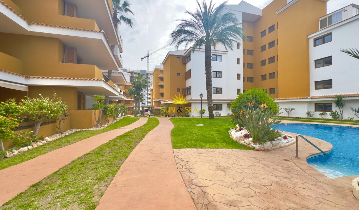Reventa - Apartamento - Torrevieja - Punta prima