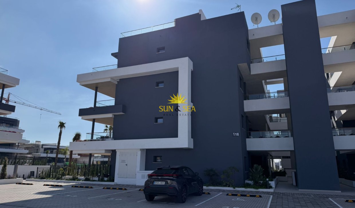 Long Term Rental - Apartment - Torrevieja - Urb. Jardín del Mar