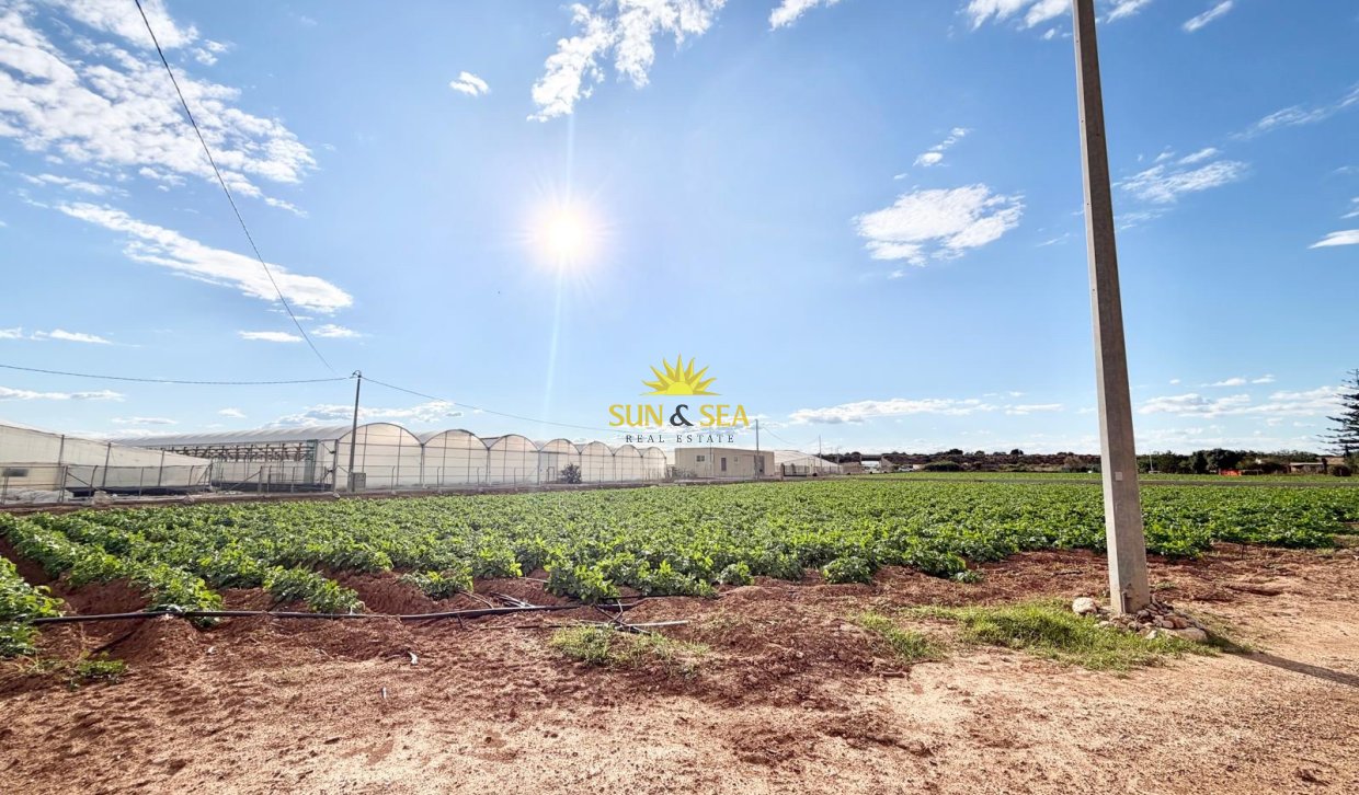 Resale - Finca - San Pedro del Pinatar - Las Beatas