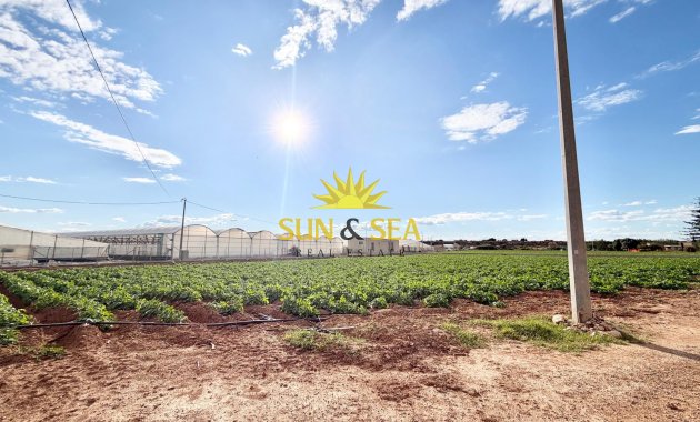 Resale - Finca - San Pedro del Pinatar - Las Beatas