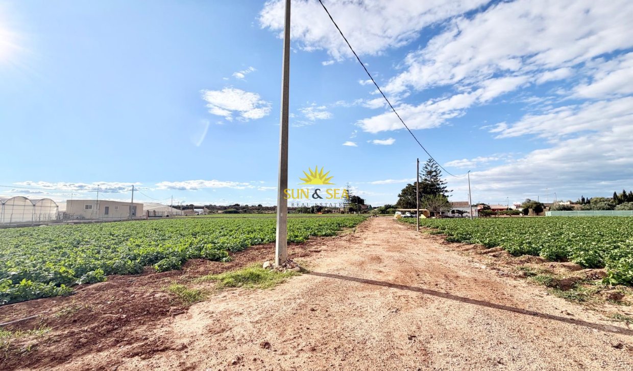 Resale - Finca - San Pedro del Pinatar - Las Beatas
