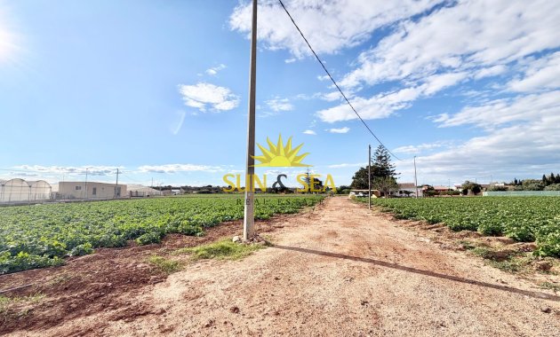 Resale - Finca - San Pedro del Pinatar - Las Beatas