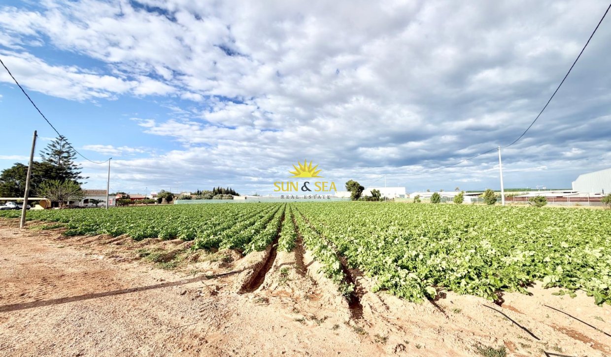 Resale - Finca - San Pedro del Pinatar - Las Beatas