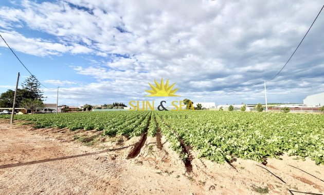 Resale - Finca - San Pedro del Pinatar - Las Beatas