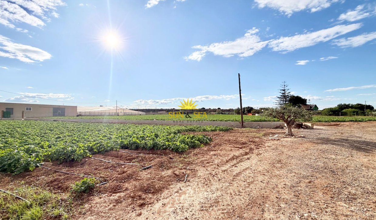 Resale - Finca - San Pedro del Pinatar - Las Beatas