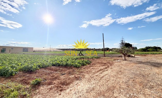 Resale - Finca - San Pedro del Pinatar - Las Beatas