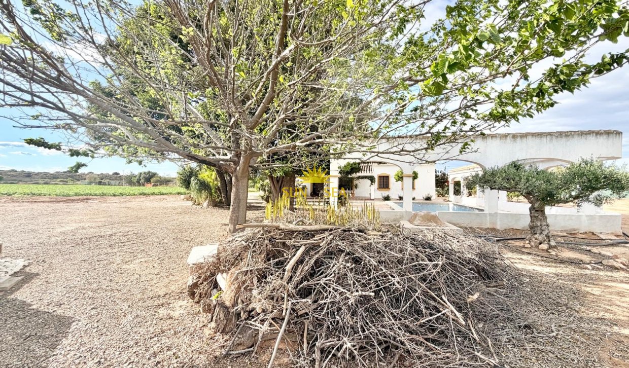 Resale - Finca - San Pedro del Pinatar - Las Beatas