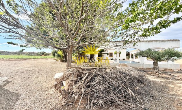 Resale - Finca - San Pedro del Pinatar - Las Beatas