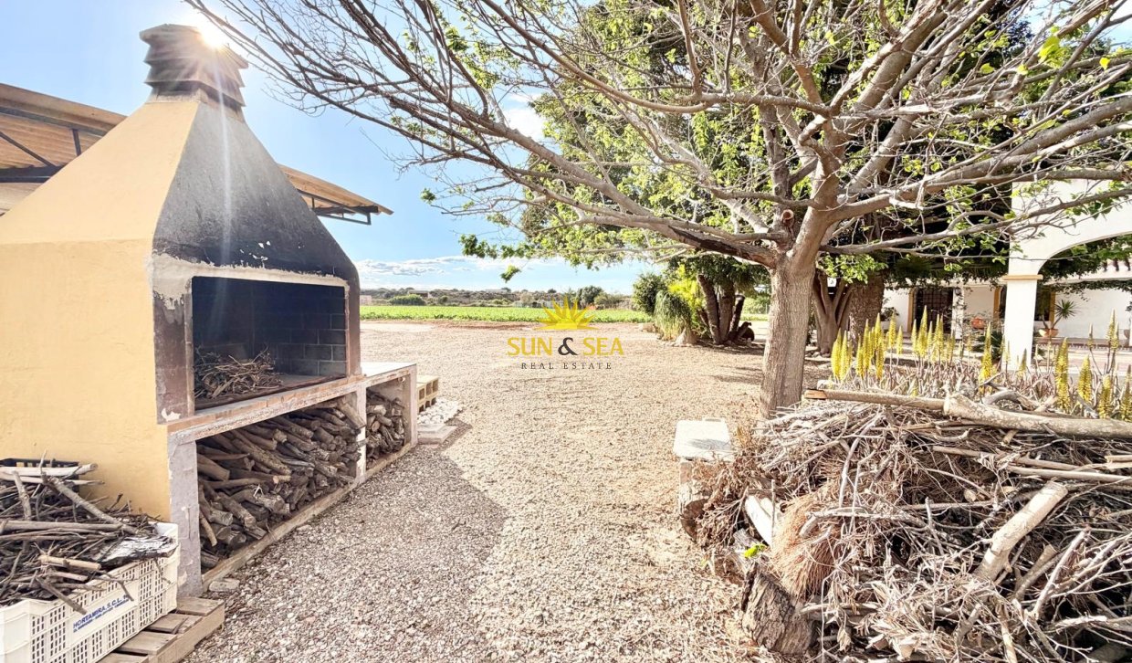 Resale - Finca - San Pedro del Pinatar - Las Beatas