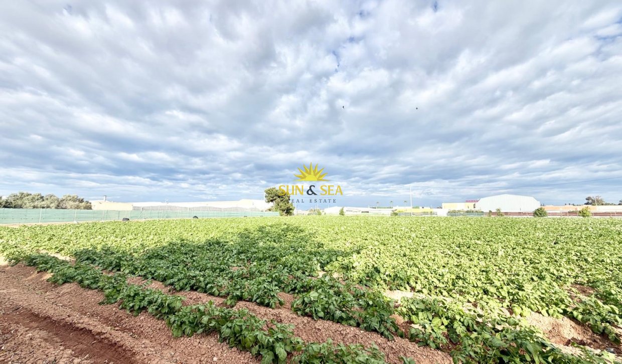 Resale - Finca - San Pedro del Pinatar - Las Beatas