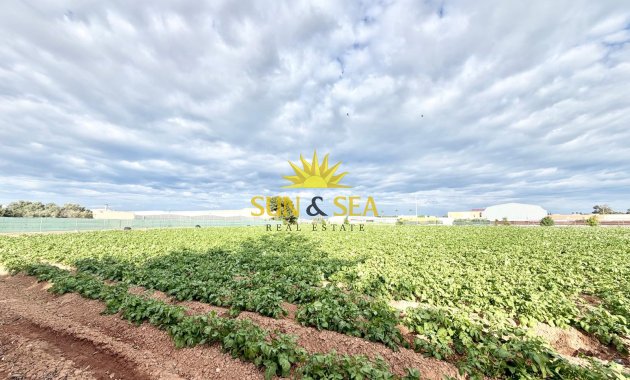 Resale - Finca - San Pedro del Pinatar - Las Beatas