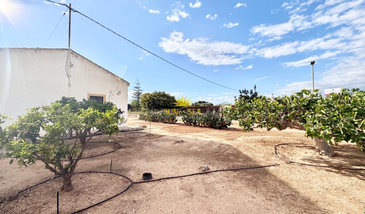 Resale - Finca - San Pedro del Pinatar - Las Beatas