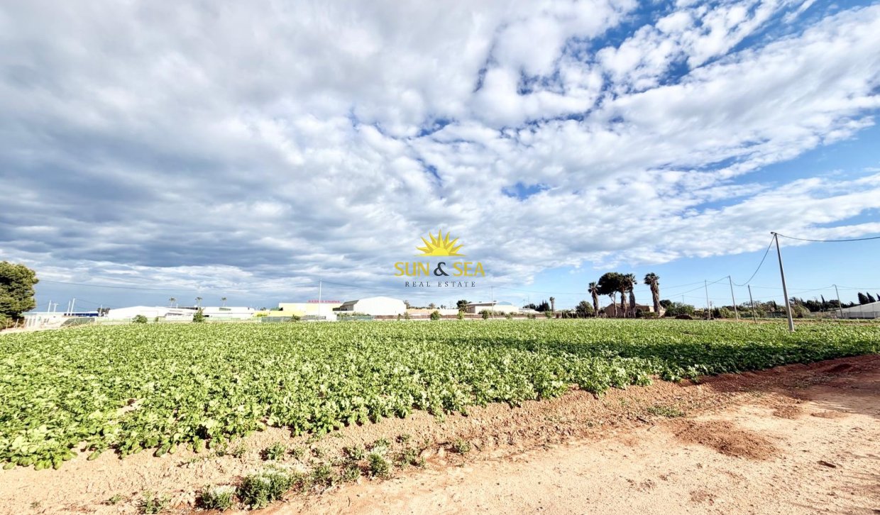 Resale - Finca - San Pedro del Pinatar - Las Beatas