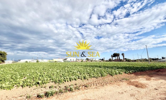 Resale - Finca - San Pedro del Pinatar - Las Beatas