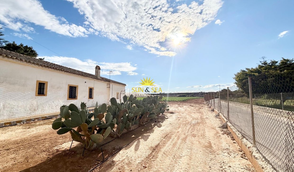 Resale - Finca - San Pedro del Pinatar - Las Beatas