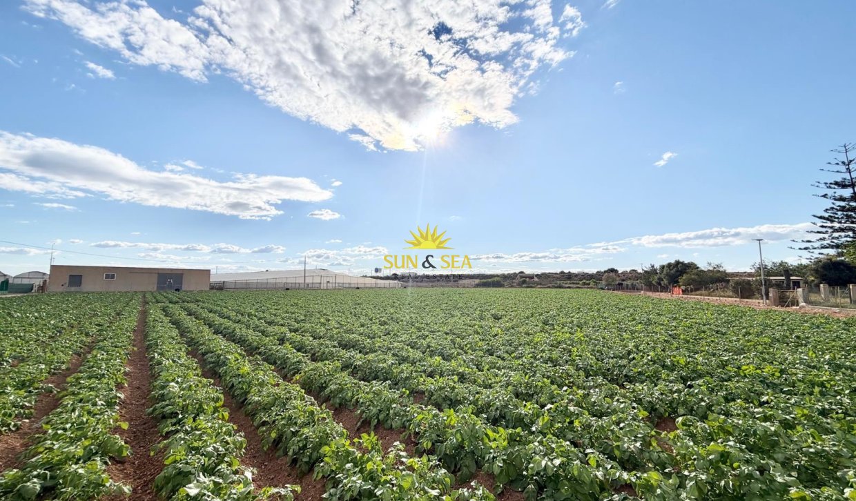 Resale - Finca - San Pedro del Pinatar - Las Beatas