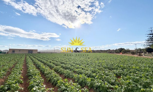 Resale - Finca - San Pedro del Pinatar - Las Beatas