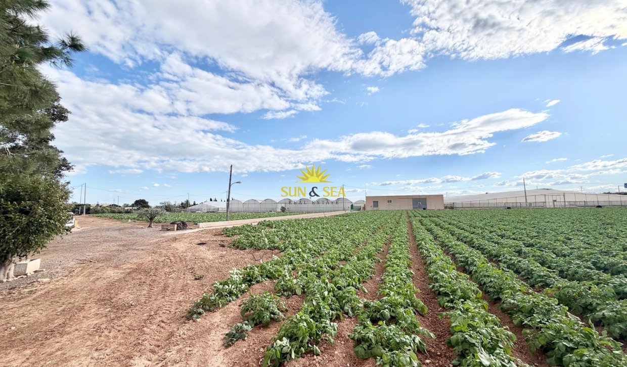Resale - Finca - San Pedro del Pinatar - Las Beatas