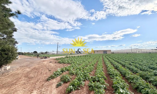 Resale - Finca - San Pedro del Pinatar - Las Beatas