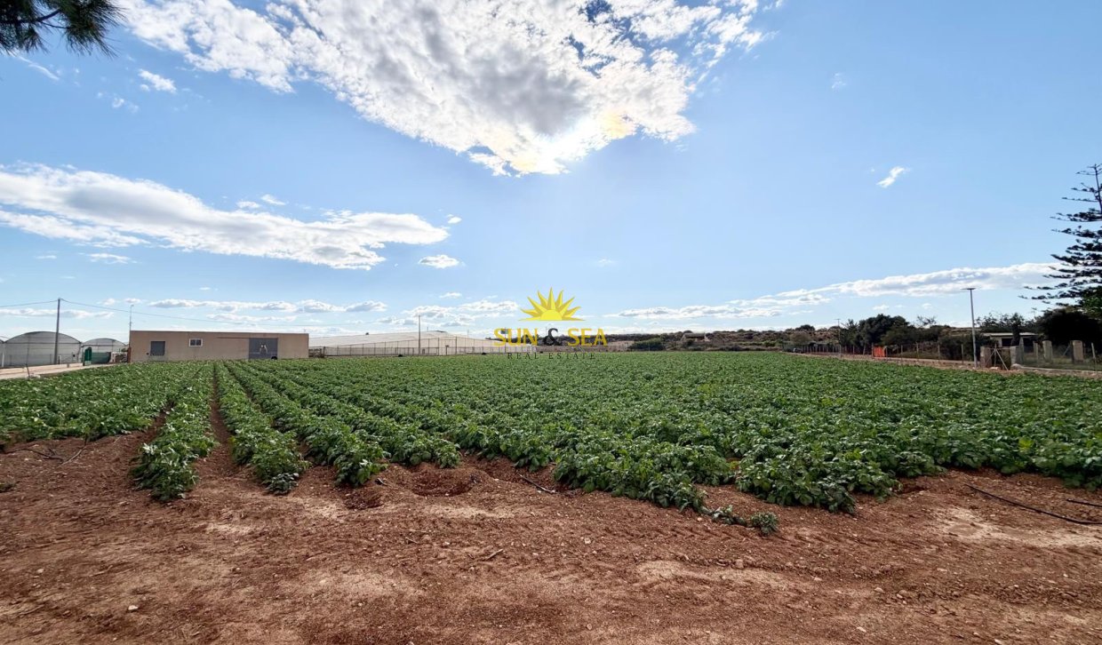 Resale - Finca - San Pedro del Pinatar - Las Beatas