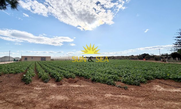 Resale - Finca - San Pedro del Pinatar - Las Beatas