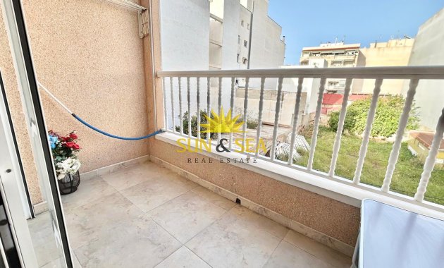 Long Term Rental - Apartment - Torrevieja - Puerto de Torrevieja