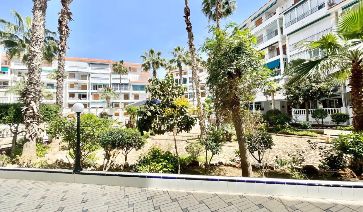 Long Term Rental - Studio apartment - Torrevieja - La Mata