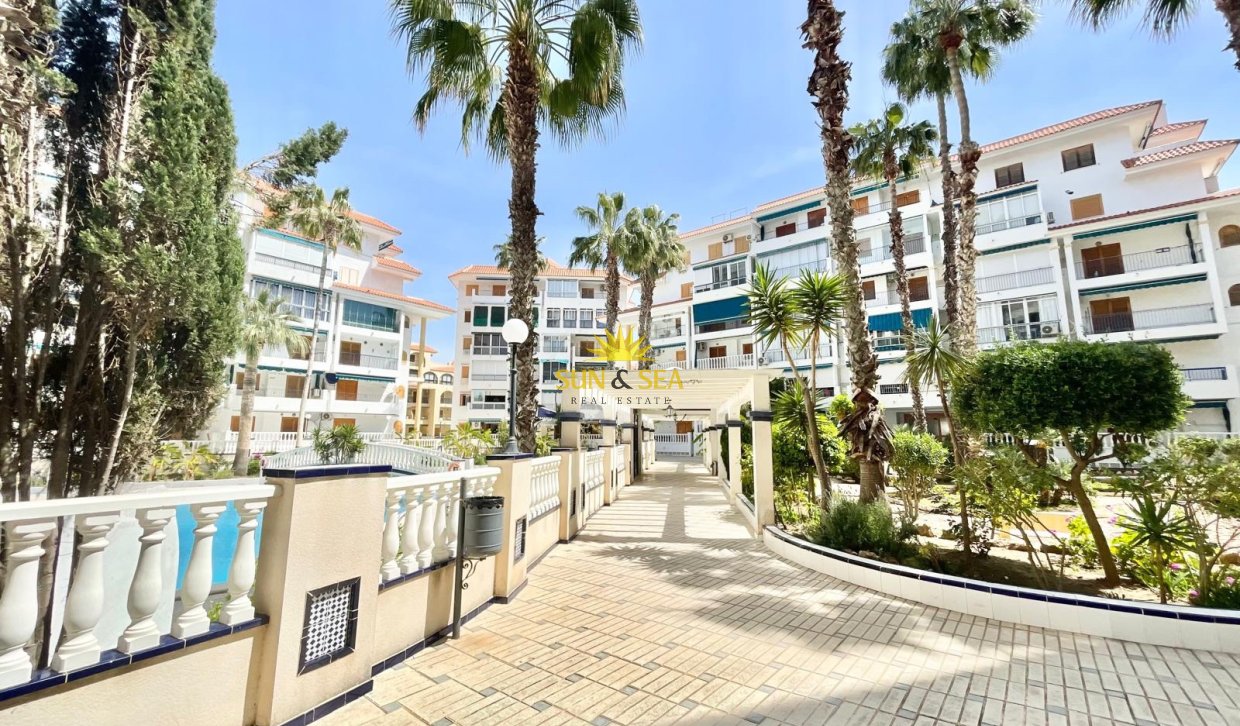 Long Term Rental - Studio apartment - Torrevieja - La Mata