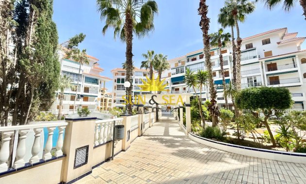 Long Term Rental - Studio apartment - Torrevieja - La Mata