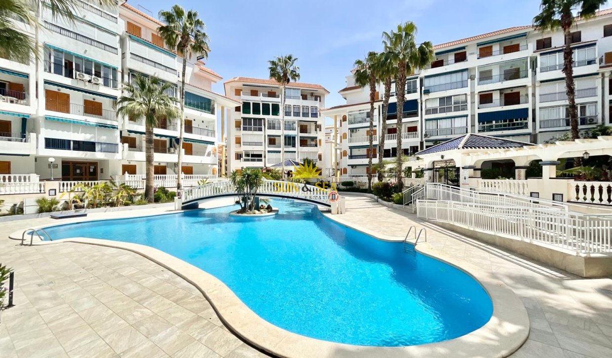 Long Term Rental - Studio apartment - Torrevieja - La Mata