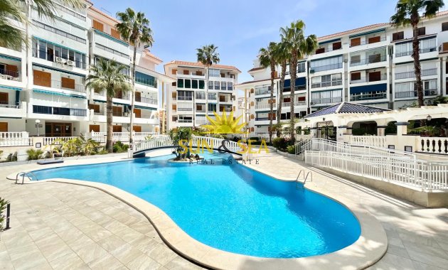 Long Term Rental - Studio apartment - Torrevieja - La Mata