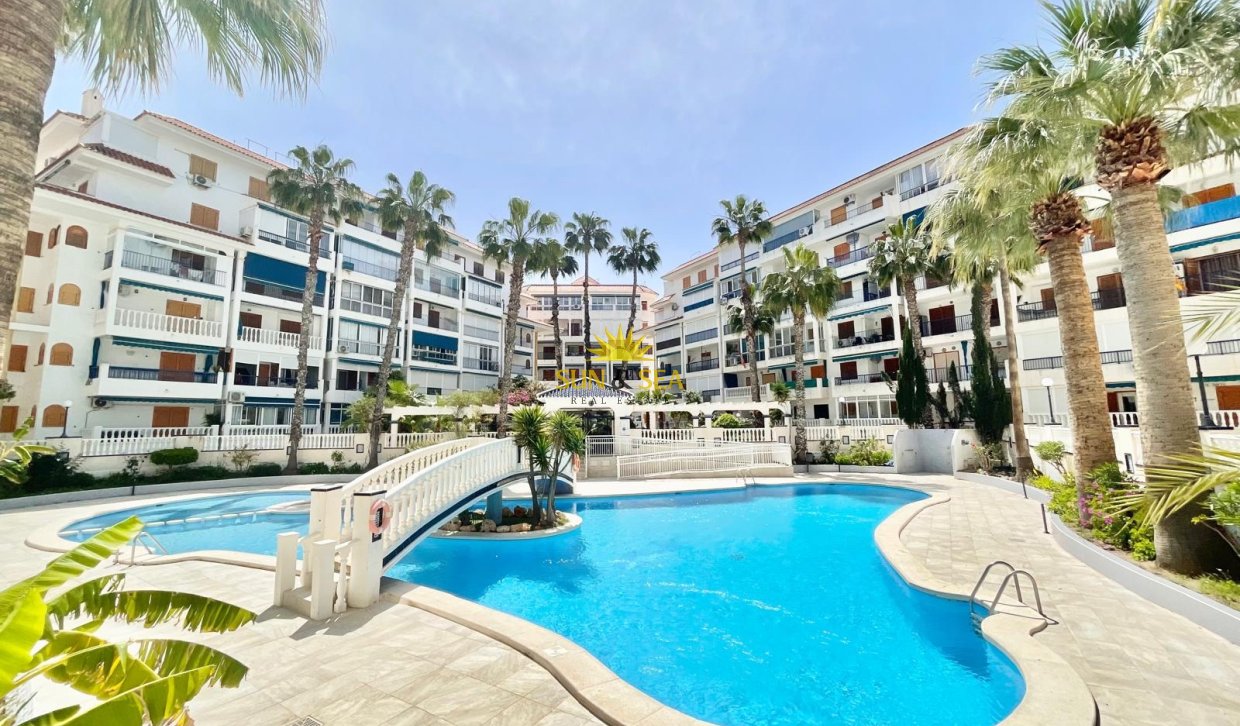 Long Term Rental - Studio apartment - Torrevieja - La Mata