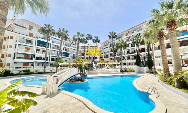 Long Term Rental - Studio apartment - Torrevieja - La Mata