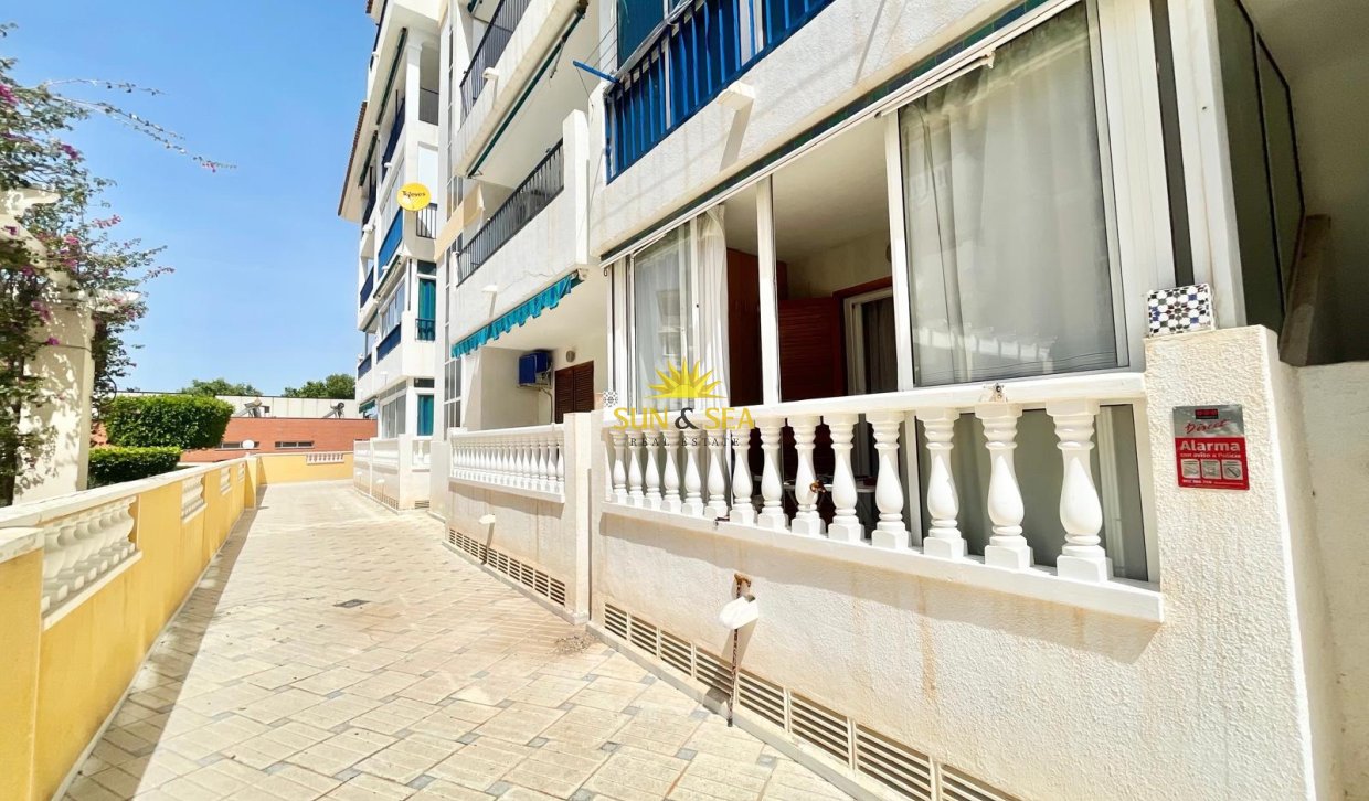 Long Term Rental - Studio apartment - Torrevieja - La Mata