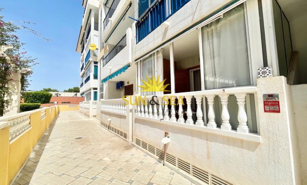 Long Term Rental - Studio apartment - Torrevieja - La Mata