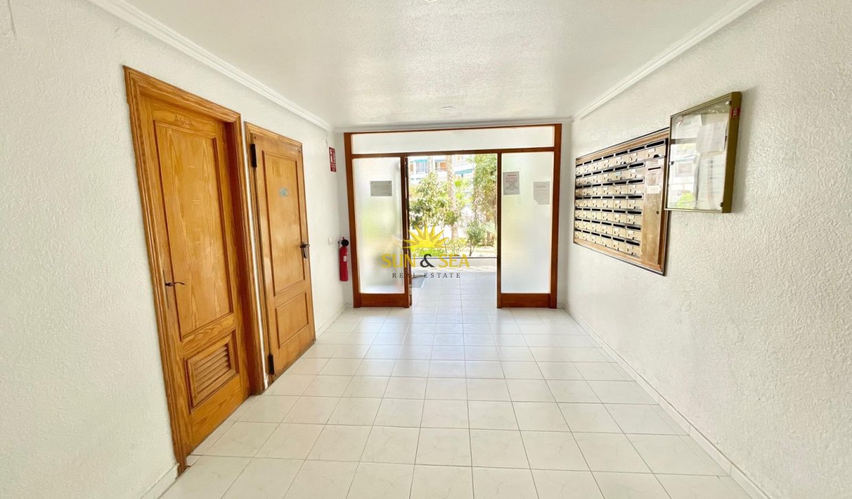 Long Term Rental - Studio apartment - Torrevieja - La Mata