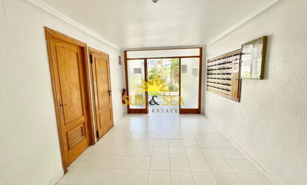 Long Term Rental - Studio apartment - Torrevieja - La Mata
