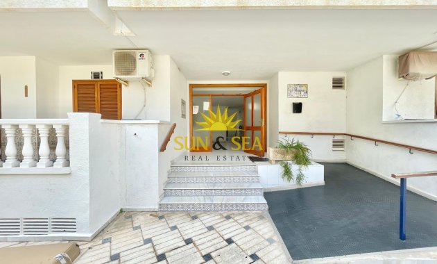 Long Term Rental - Studio apartment - Torrevieja - La Mata