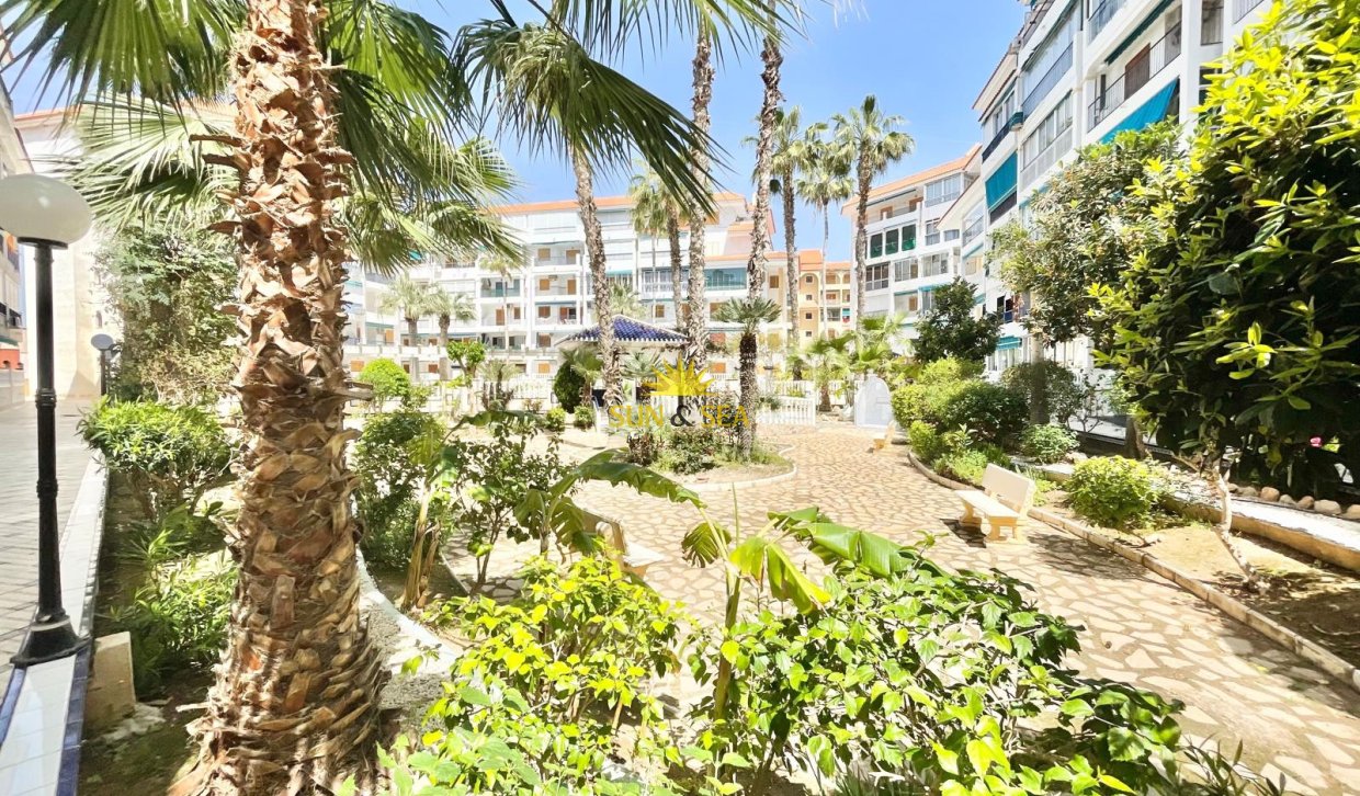 Long Term Rental - Studio apartment - Torrevieja - La Mata