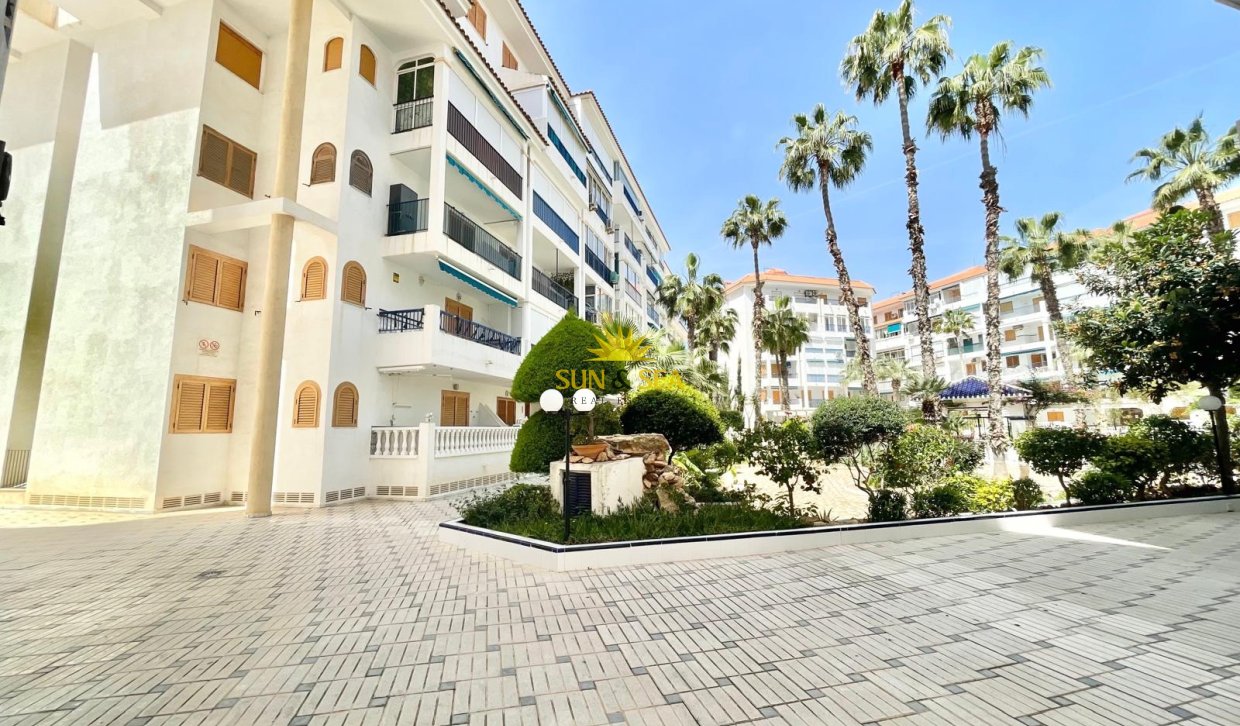 Long Term Rental - Studio apartment - Torrevieja - La Mata