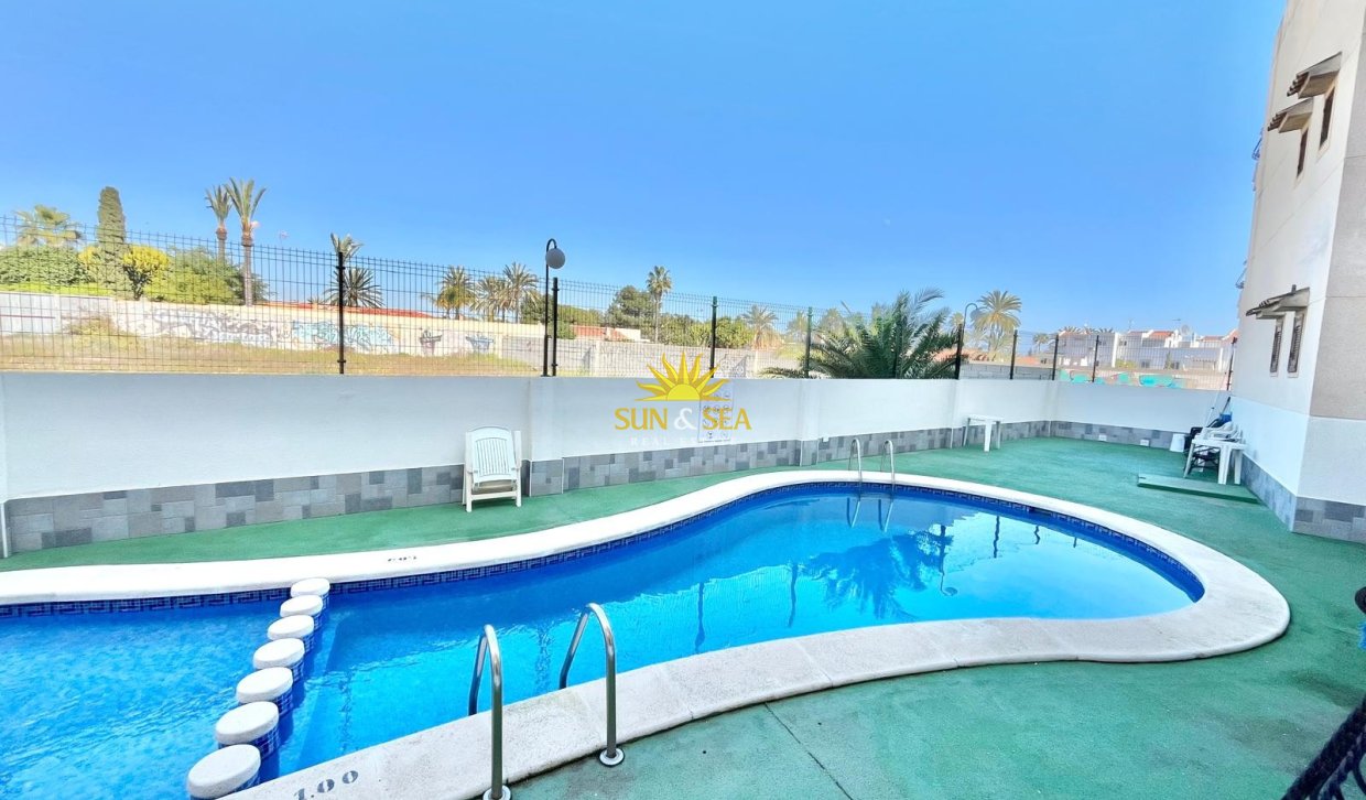 Long Term Rental - Apartment - Torrevieja - torrevieja