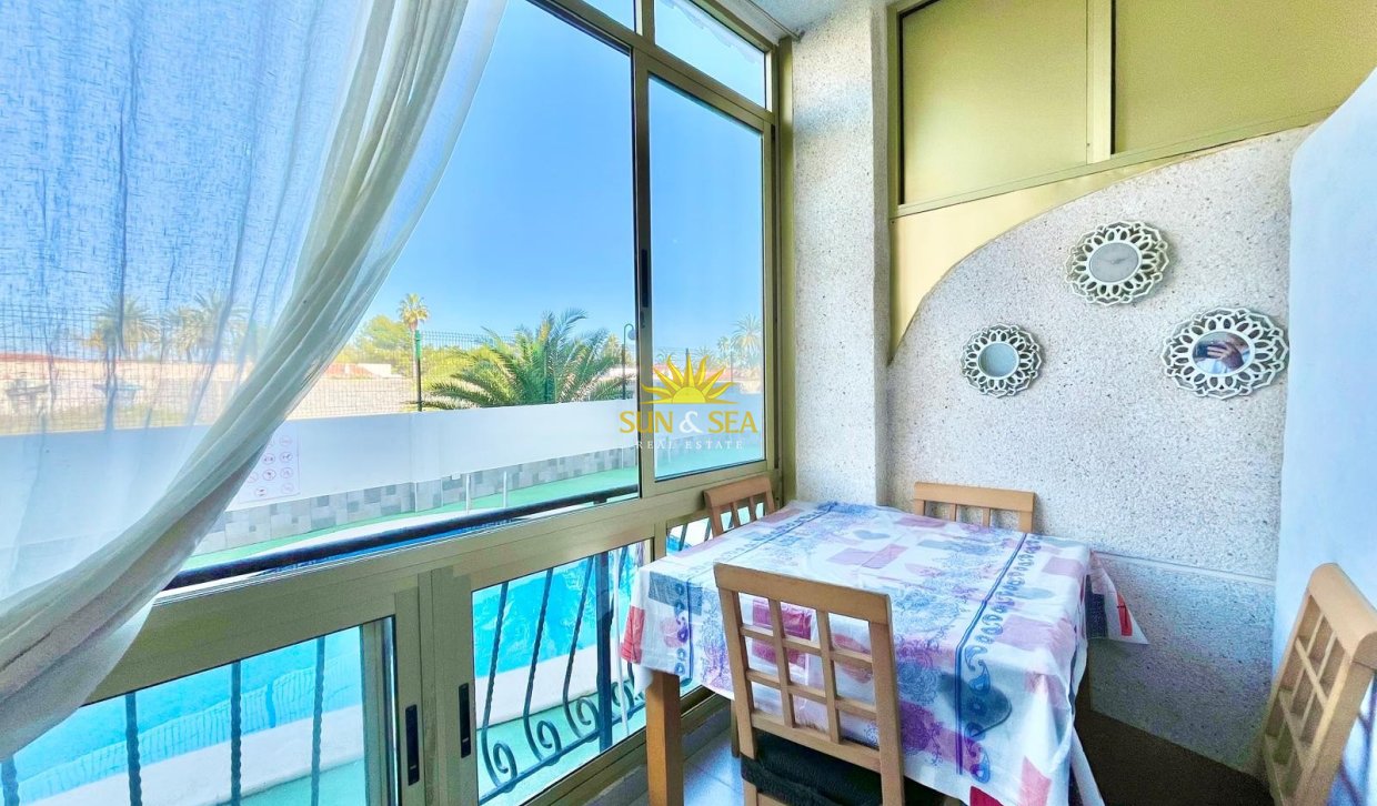 Long Term Rental - Apartment - Torrevieja - torrevieja