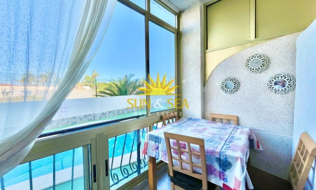 Long Term Rental - Apartment - Torrevieja - torrevieja