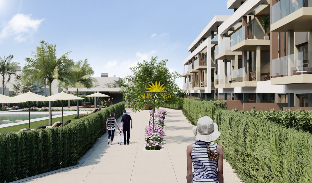 Nouvelle construction - Penthouse - Santa Rosalía