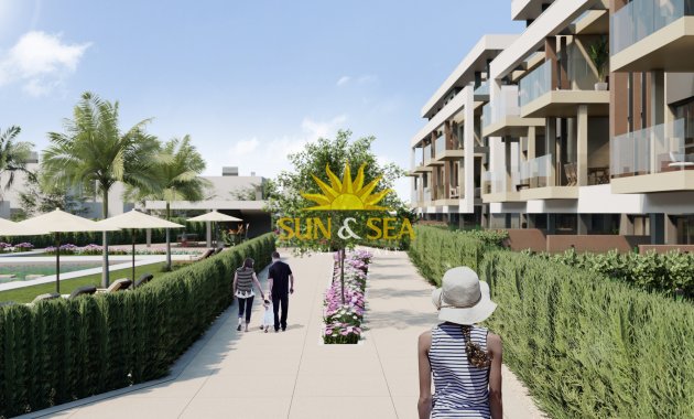 Nouvelle construction - Penthouse - Santa Rosalía