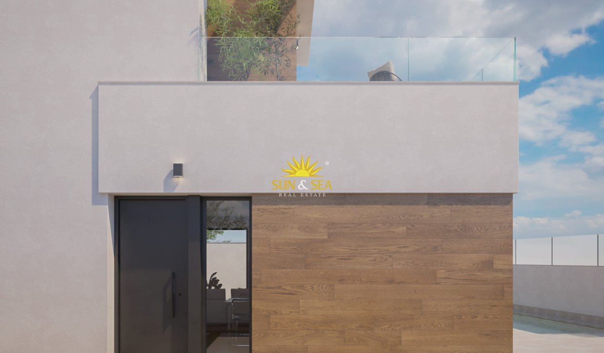 Nouvelle construction - detached - Pilar de la Horadada
