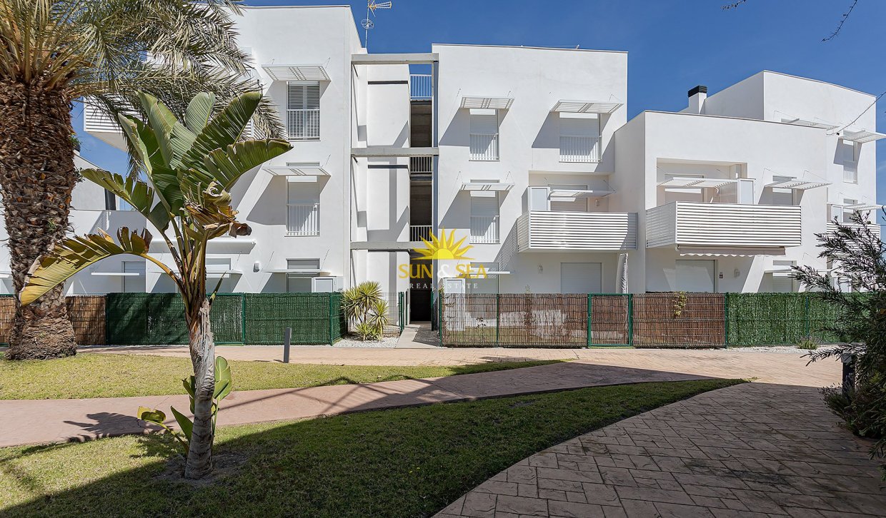 Neue Gebäude - Wohnung - Vera