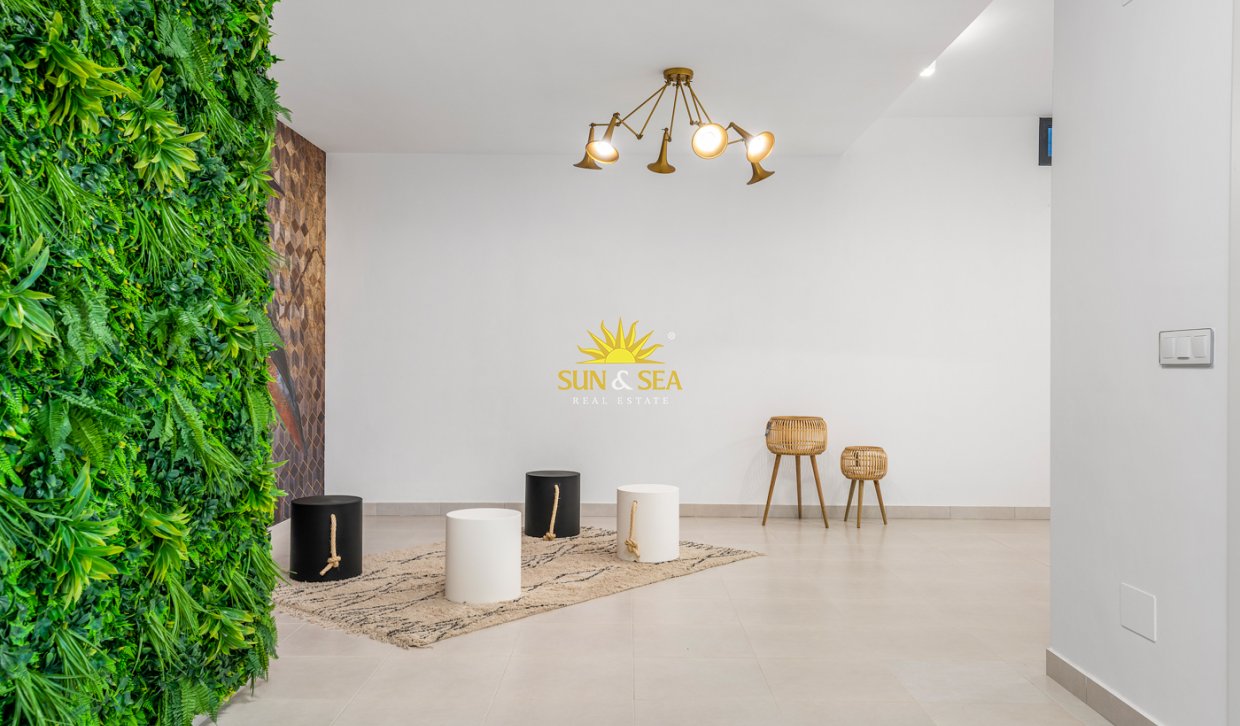 Nouvelle construction - detached - Playa Paraiso