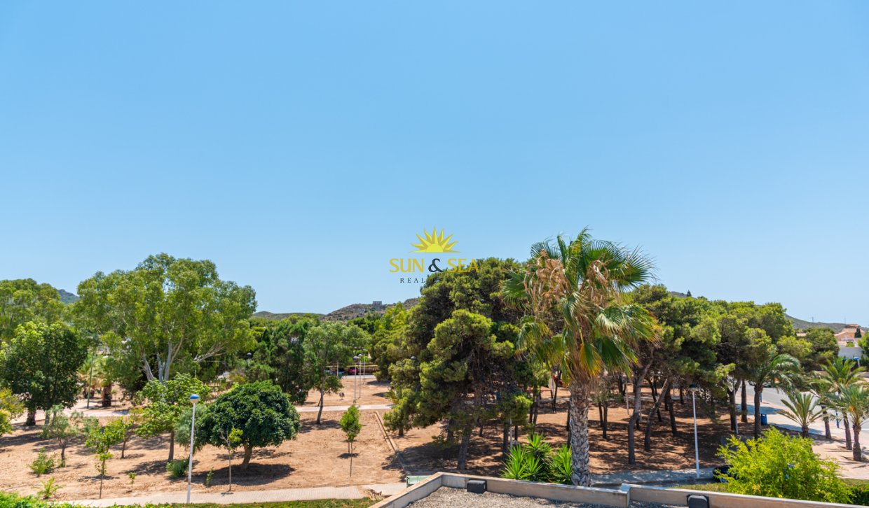 New Build - detached -  - Playa Paraiso